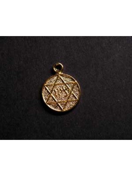 Star of David Charm Disc 10mm Gold Plate