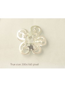 Double through-hole flower shape small S