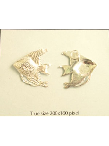 Charm St.Silver Angel Fish ~2.59g