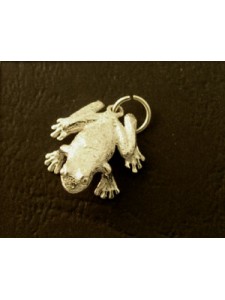 Charm St. Silver Frog 1.98 gram