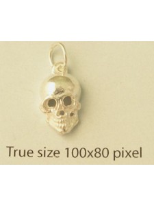 Charm St. Silver Skull only  2.25 gram