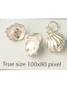 Charm St.Silver Double Shell 1.47gr
