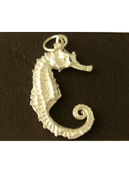 Charm St.Silver Seahorse 2.82 gram