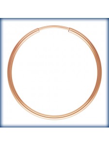 Endless Hoop 1.25mm x 30mm RGF EACH