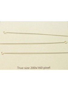 St.Silver Eye Pin 63mmx0.5mm (24 gauge)