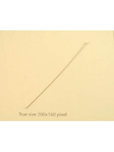 St. Silver Head Pin 50mmx0.5mm thick