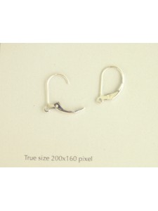 Plain Leverback w/ring Earrings - PAIR