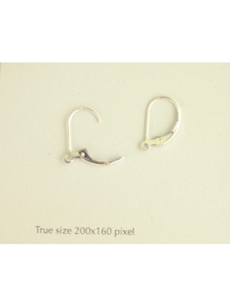 Plain Leverback w/ring Earrings - PAIR