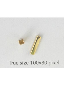 Tube Bead 2.5x10 mm Gold plated