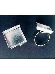 Ring Chank 19mm dia Top 20x20x5mm NFP