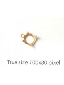 Setting Round SS30 1 Ring RAW