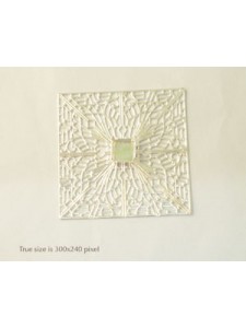 Filigree Plate Square with 10x10 set S/P