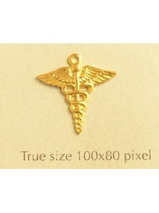 Medical Symbol Charm Gold Plated