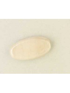 Indian Flat Oval 20x10x6mm Opaq White Lu