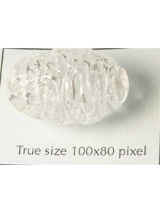 Bead Style004 Oval 25x17mmClear