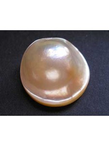 Mabe Pearl 22mm White (glued) - each