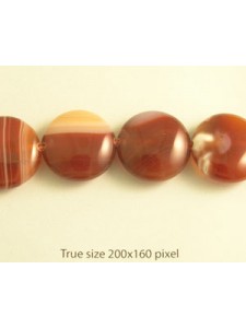 Brown Lace Agate Coin 20mm 16in strand