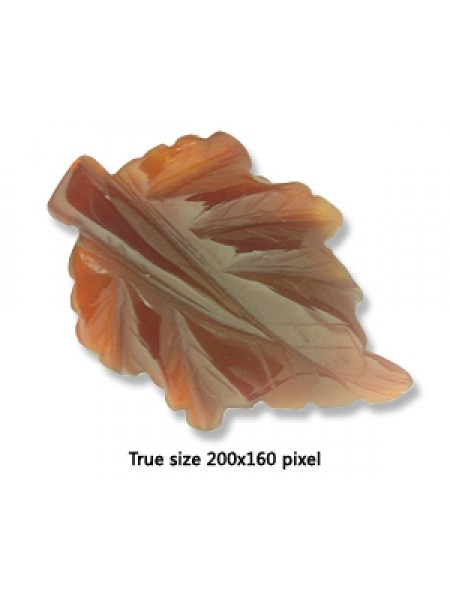 Carnelian Leaf Pendant #3 40x60mm