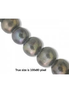 Freshwater Pearl 10mm (2mm H)Black 16in