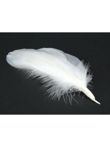 Feathers Goose Negorie White 8 pieces