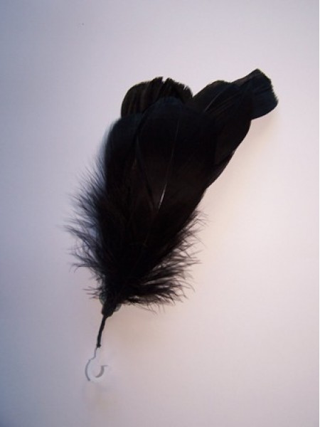 Feathers Goose Negorie Black 8 pieces
