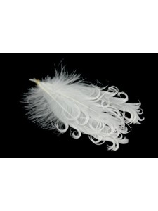 Feather Curled Negorie White 3 pieces