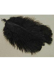 Feathers Ostrich Small Black 5 pieces