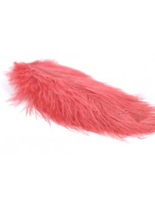 Feathers Ostrich Small Red 5 pieces