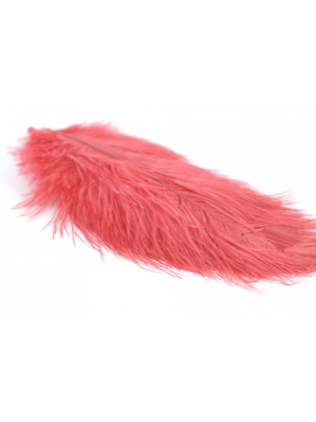 Feathers Ostrich Small Red 5 pieces