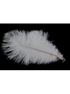 Feathers Ostrich Small White 5 pieces