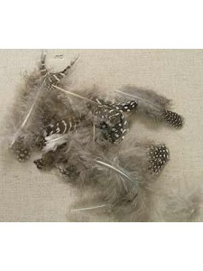 Feathers Polka Dot Natural 2gram / pack