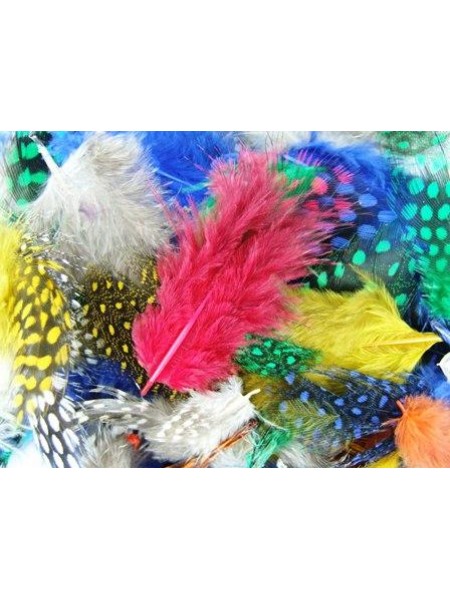 Feathers Polka Dot Multi 2 gram/packet