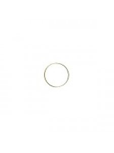Ring 2.5inch diameter (63mm) Gold colour