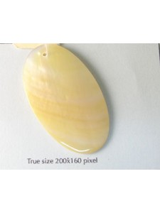 Mother of Pearl Oval 49x32mm