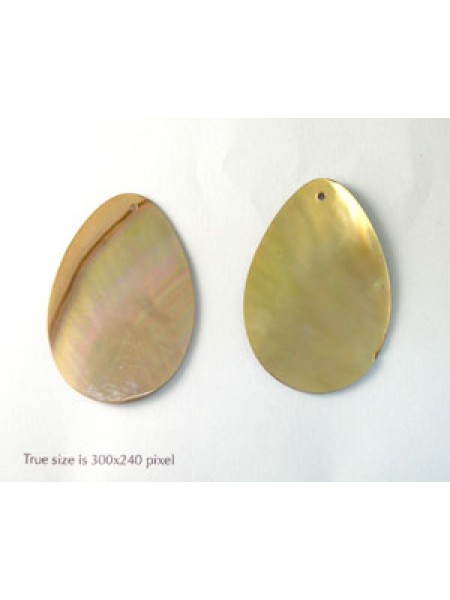 Brown Lip Shell Teardrop 44x30mm