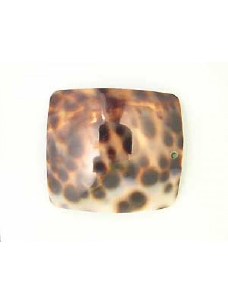 Cowrie Shell Rectangle