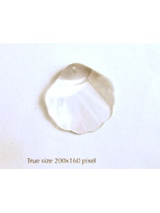 Swar Shell 28mm Clear