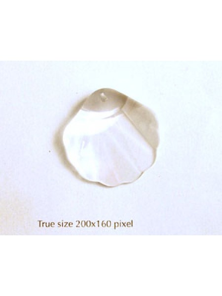 Swar Shell 28mm Clear