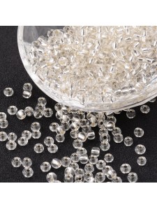 Seed Bead 6/0 450gram S/L Clear