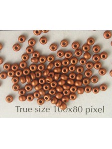 Seed Bead #10 Silk Dk Copper - per 10gr