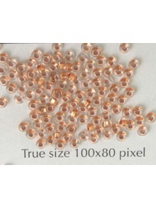 Seed Bead #11 Copper Lined Clear -10gram