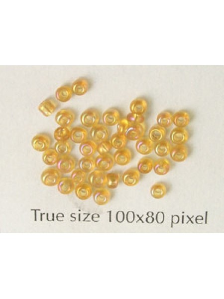 Seed Bead Size 10 Amber AB