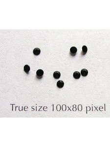 Swar Flat Round Stone ~2.3mm Jet